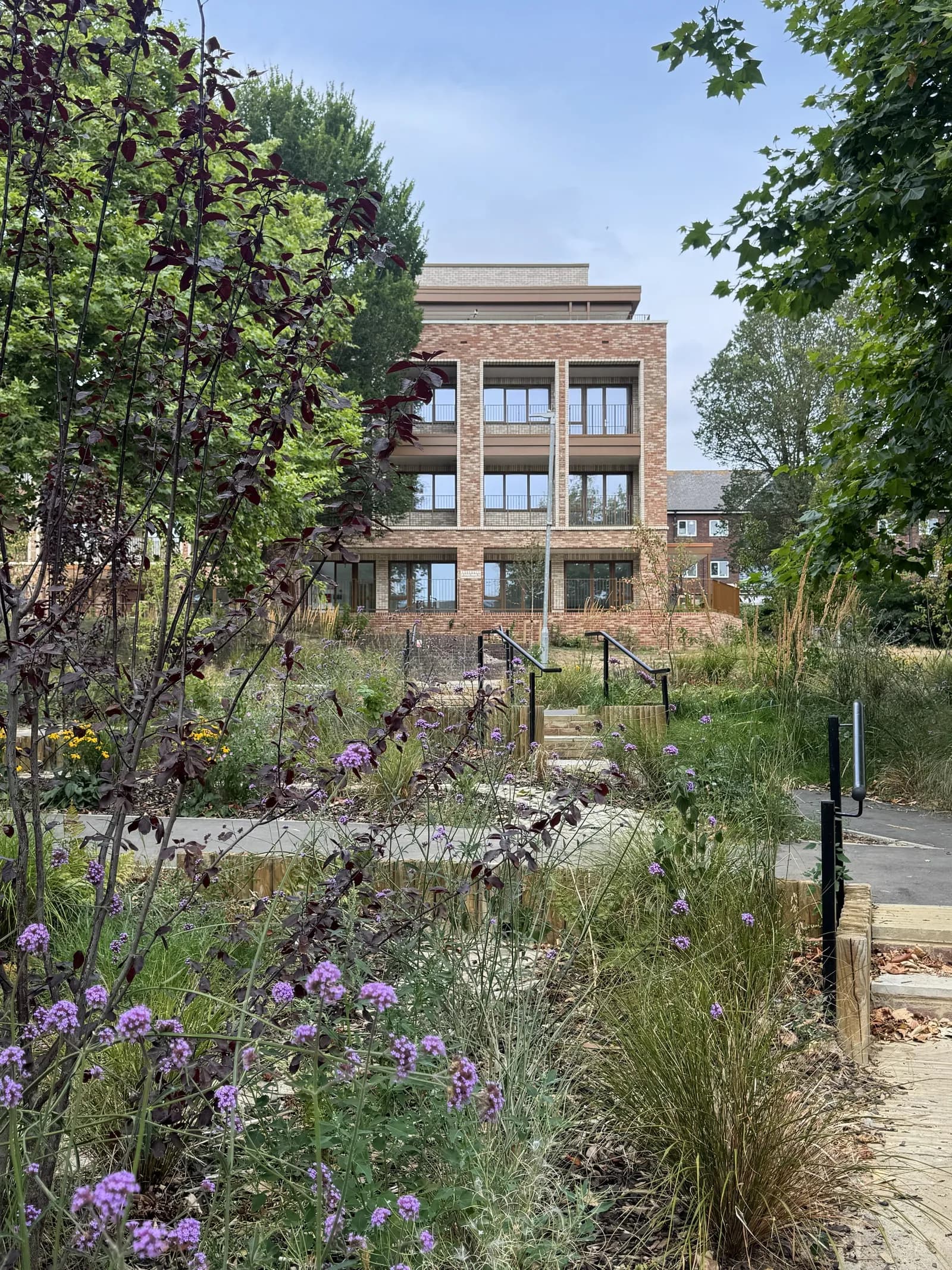 A modern brick apartment building with balconies is seen through the lush green and purple foliage of a garden path, leading up to the building.